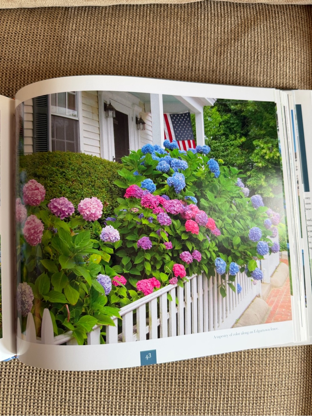 Hydrangeas Cape Cod Book by Joan Harrison - Picture 5 of 8